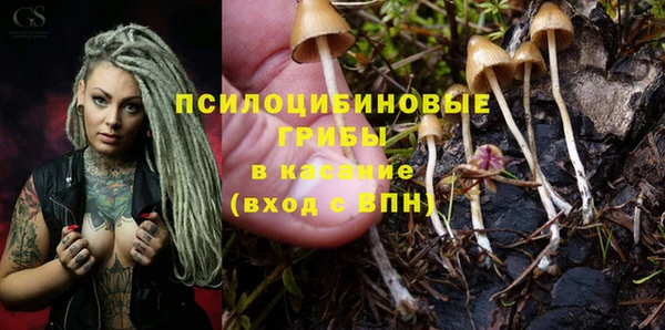 мдпв Киреевск