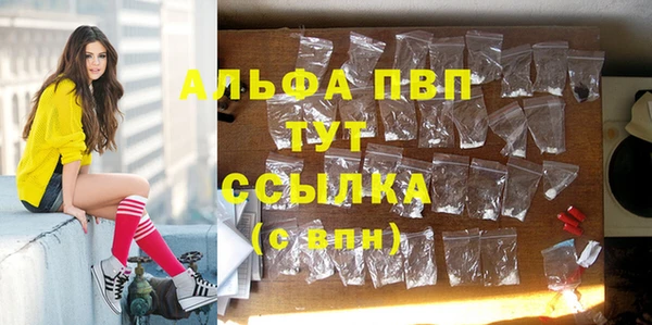 стаф Кинешма