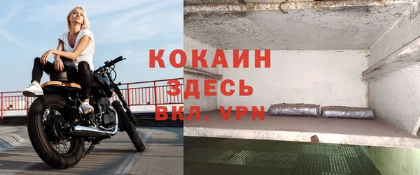 дмт Козельск